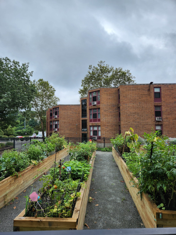 Investing in affordable housing to support inclusive downtowns